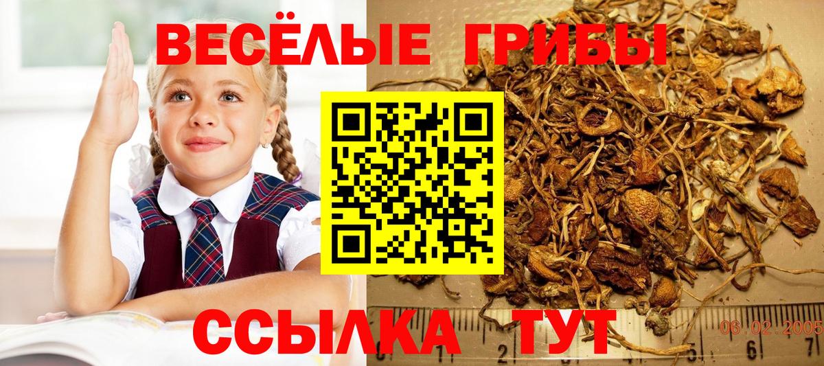 Ликино-Дулёво  Псилоцибиновые грибы Magic Shrooms  Вход с VPN  Галлюциногенные грибы Cubensis 