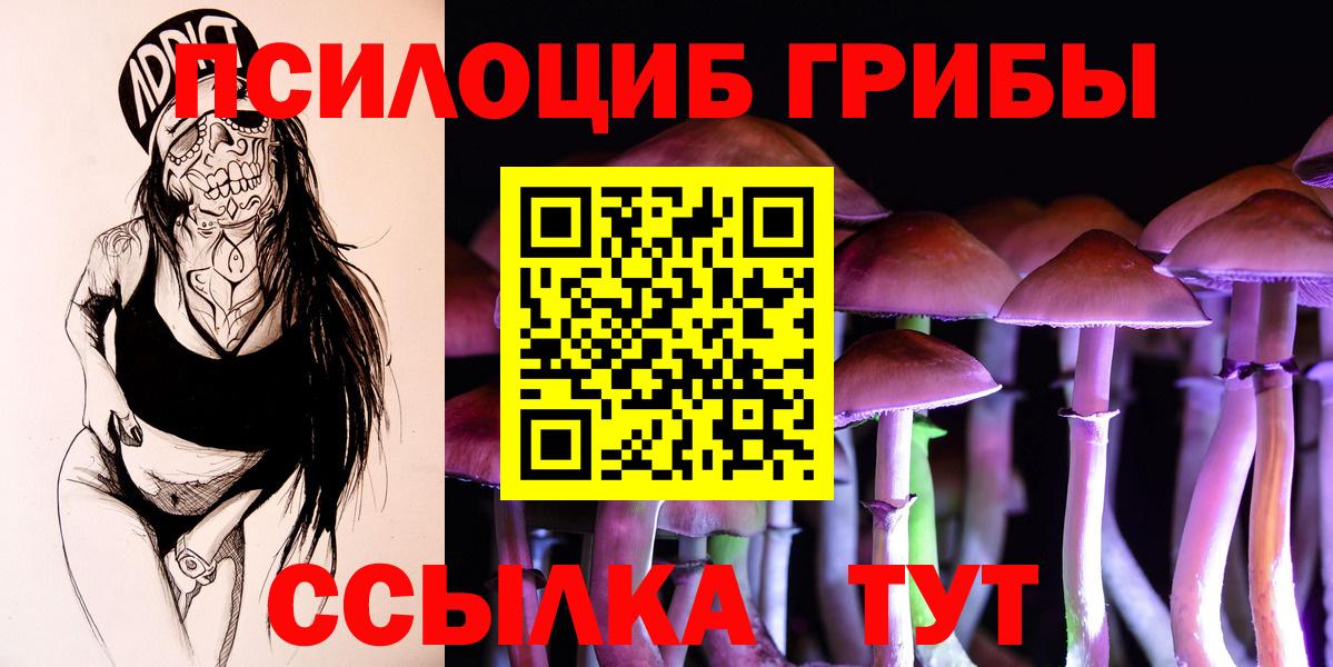 Псилоцибиновые грибы мицелий Ликино-Дулёво